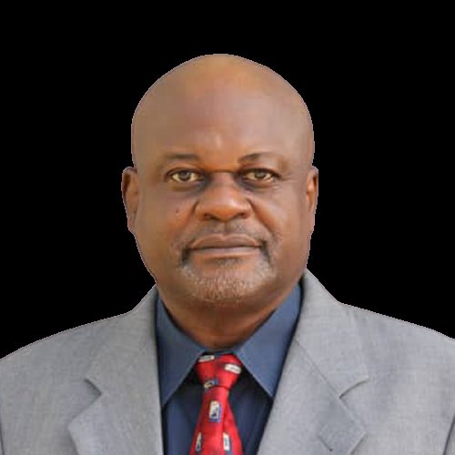 Mr. Michael Omolaja